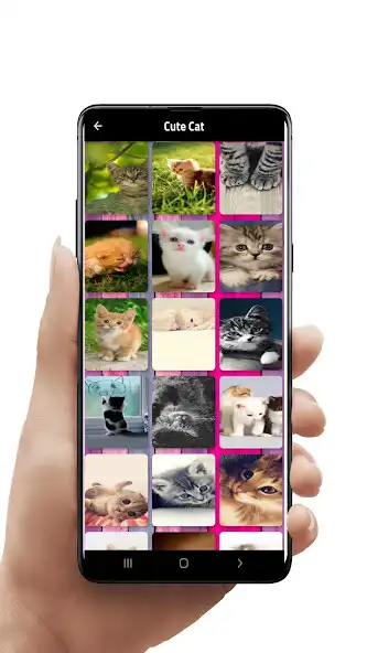 Play Cats Photos as an online game Cats Photos with UptoPlay