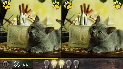 Play Cat! Spot the difference & Puzzle2 as an online game Cat! Spot the difference & Puzzle2 with UptoPlay