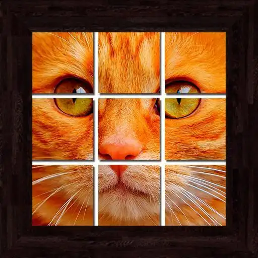 Play Cats Puzzles - 101 pictures APK Play Cats Puzzles - 101 pictures APK