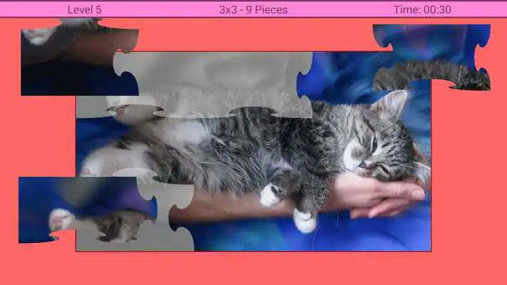Play Cats Puzzle