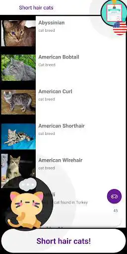 Play Cats Quiz Games as an online game Cats Quiz Games with UptoPlay