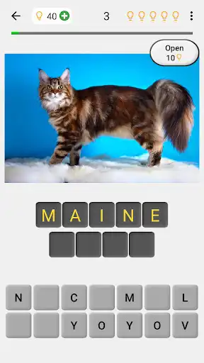 Play Cats Quiz - Guess Photos of All Popular Cat Breeds  and enjoy Cats Quiz - Guess Photos of All Popular Cat Breeds with UptoPlay