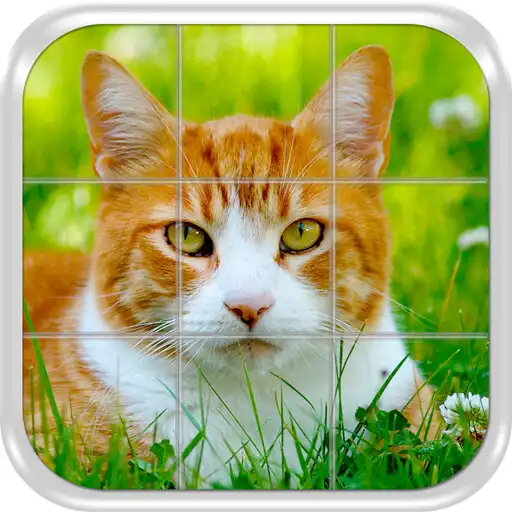 Play Cats Slide Puzzle Game APK