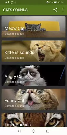 Play Cats sounds  and enjoy Cats sounds with UptoPlay