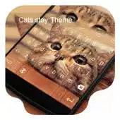 Free play online Cat Stay -Video Emoji Keyboard APK Free play online Cat Stay -Video Emoji Keyboard APK