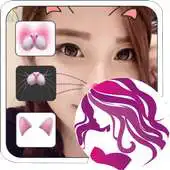 Free play online cat sticker APK