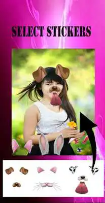 Play cat sticker