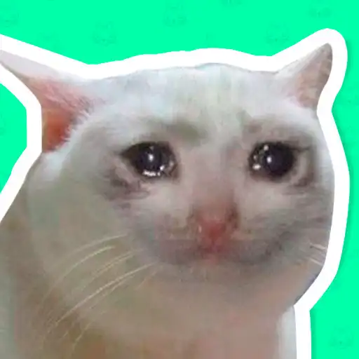 Play Cat Stickers for WhatsApp APK Play Cat Stickers for WhatsApp APK