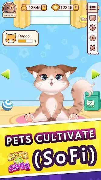 Play CatsToCats: PET+PVP as an online game CatsToCats: PET+PVP with UptoPlay