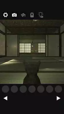 Play Cats treats Detective 7
