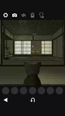 Play Cats treats Detective 7