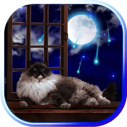 Free play online Cat Summer Night live wallpaper APK Free play online Cat Summer Night live wallpaper APK