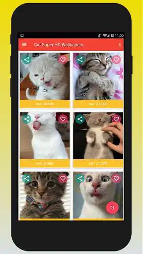 Play Cat Super HD Wallpaper as an online game Cat Super HD Wallpaper with UptoPlay