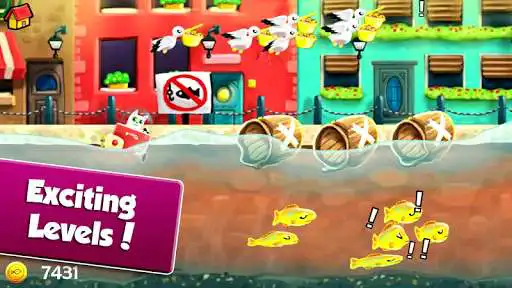 Play Cat Surfers Adventure - Endless Runner