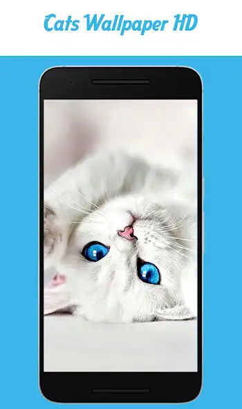 Play Cats Wallpaper HD  and enjoy Cats Wallpaper HD with UptoPlay