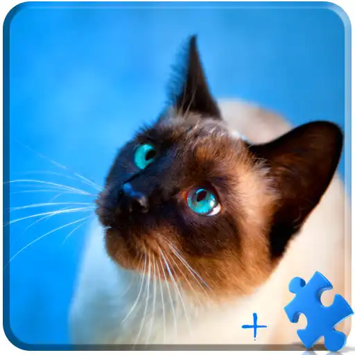 Play Cats Wallpaper Jigsaw Puzzles APK Play Cats Wallpaper Jigsaw Puzzles APK