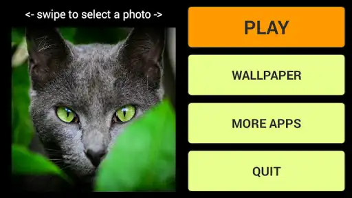 Play Cats Wallpaper Jigsaw Puzzles  and enjoy Cats Wallpaper Jigsaw Puzzles with UptoPlay