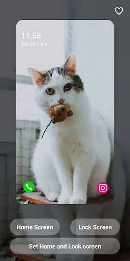 Play Cats Wallpapers HD and enjoy Cats Wallpapers HD with UptoPlay Play Cats Wallpapers HD and enjoy Cats Wallpapers HD with UptoPlay