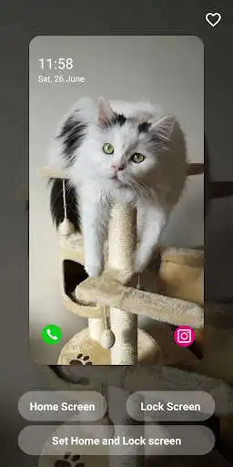 Play Cats Wallpapers HD as an online game online Cats Wallpapers HD with UptoPlay com.cat.wallpaper.cutecathdwallpapers.hd4kwallpapers.kittywallpapers Play Cats Wallpapers HD as an online game Cats Wallpapers HD with UptoPlay