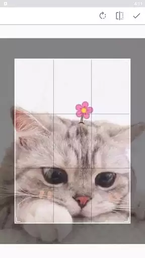 Play Cats Wallpapers  and enjoy Cats Wallpapers with UptoPlay