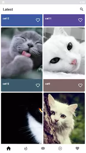 Play Cats Wallpapers as an online game Cats Wallpapers with UptoPlay
