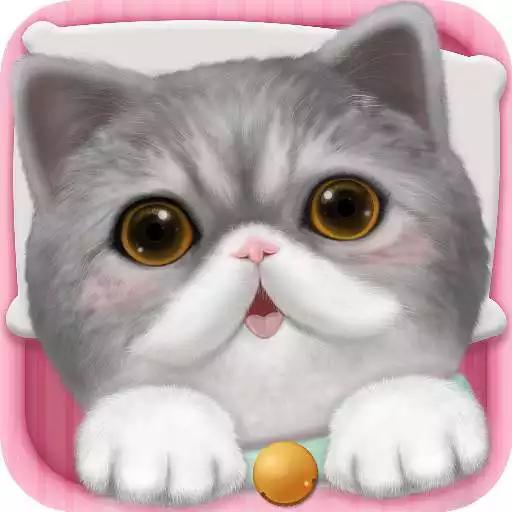 Play Cat Sweetie APK