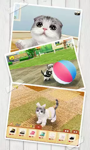 Play Cat Sweetie  and enjoy Cat Sweetie with UptoPlay
