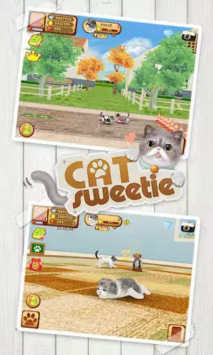 Play Cat Sweetie as an online game Cat Sweetie with UptoPlay