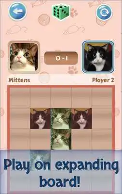 Play Cat Tac Toe Play Cat Tac Toe