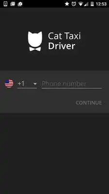 Play Cat Taxi Driver