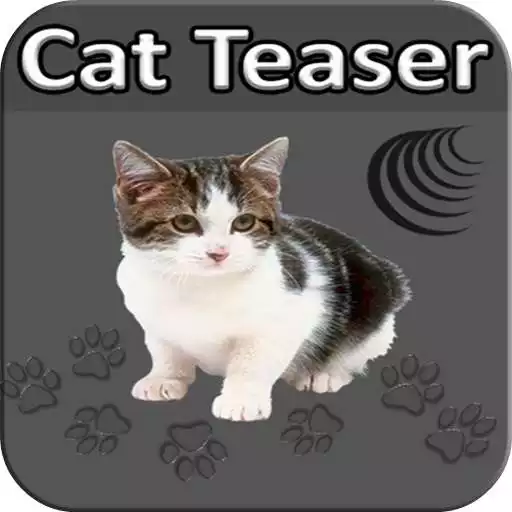 Free play online Cat Teaser APK