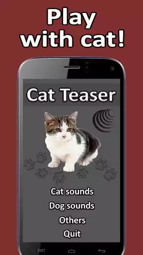 Play Cat Teaser