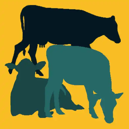 Play Cattle Activity Recognition APK