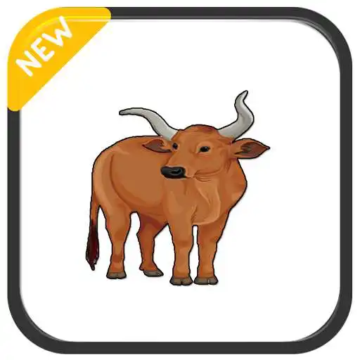 Free play online Cattle breeds APK