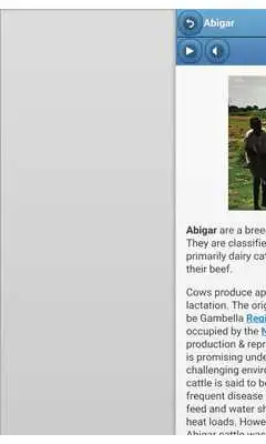 Play Cattle breeds Play Cattle breeds