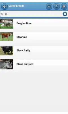 Play Cattle breeds Play Cattle breeds