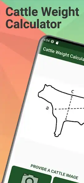 Play Cattle Weight Calculator  and enjoy Cattle Weight Calculator with UptoPlay