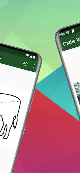 Play Cattle Weight Calculator as an online game Cattle Weight Calculator with UptoPlay