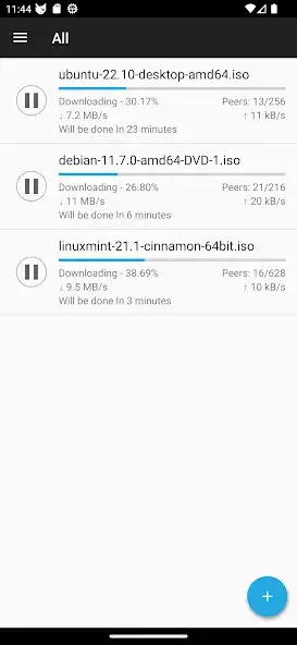 Play CatTorrent  and enjoy CatTorrent with UptoPlay