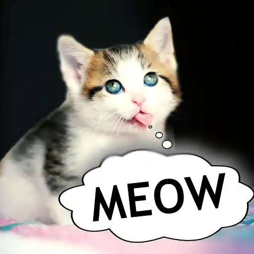 Play Cat translator. Cat sound joke APK Play Cat translator. Cat sound joke APK