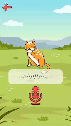 Play Cat translator (joke)