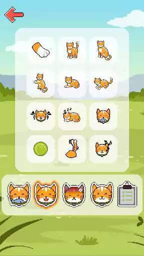 Play Cat translator (joke)
