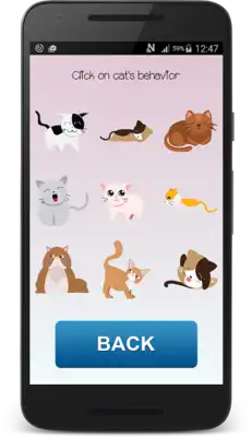 Play Cat translator (joke)