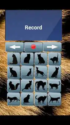 Play Cat Translator as an online game Cat Translator with UptoPlay