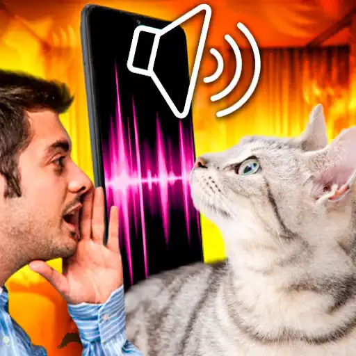 Play Cat Translator - translate cat APK Play Cat Translator - translate cat APK