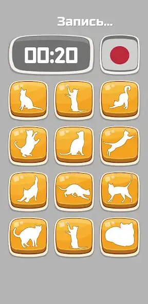 Play Cat Translator - translate cat  and enjoy Cat Translator - translate cat with UptoPlay