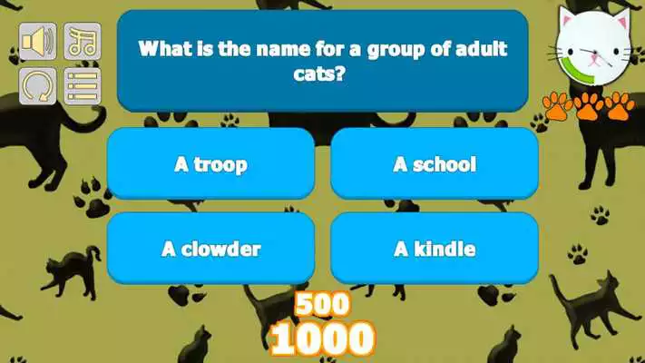 Play Cat Trivia
