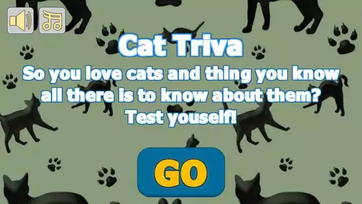 Play Cat Trivia