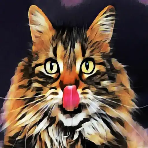 Play Catty wallpaper APK
