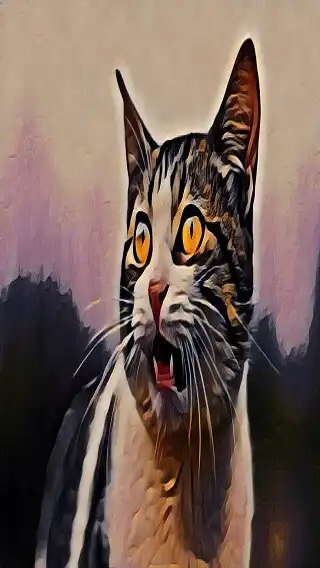 Play Catty wallpaper  and enjoy Catty wallpaper with UptoPlay